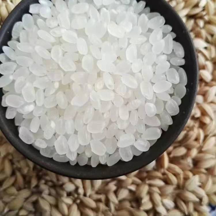 东北大米，珍珠米，1000吨起