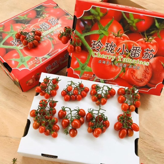平度市山东青岛釜山88圣女果原产地，占地3000亩，可大量长期供应