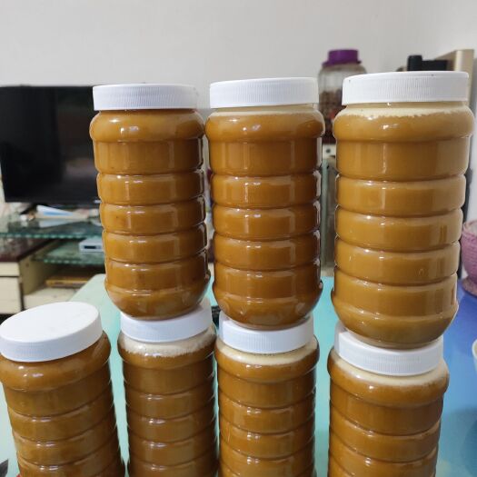 宣威市土蜂蜜  蜜蜂
