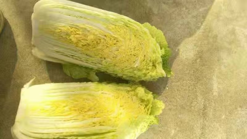 商丘小娃娃菜  精品新鲜娃娃菜，质优价廉服务