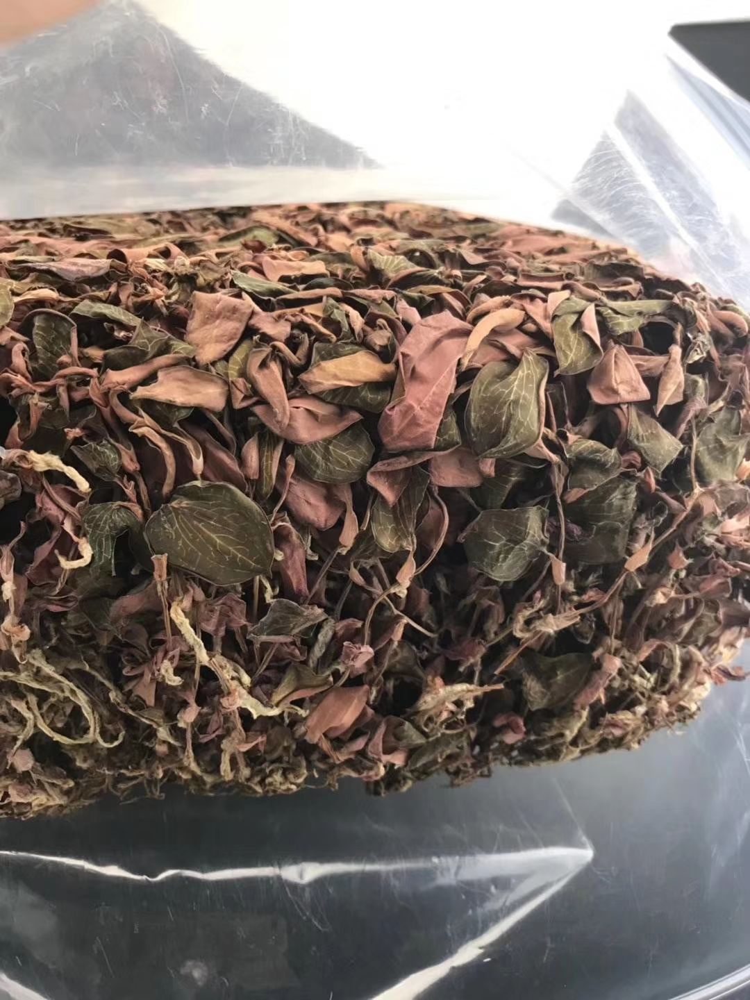  金线莲500克装干品