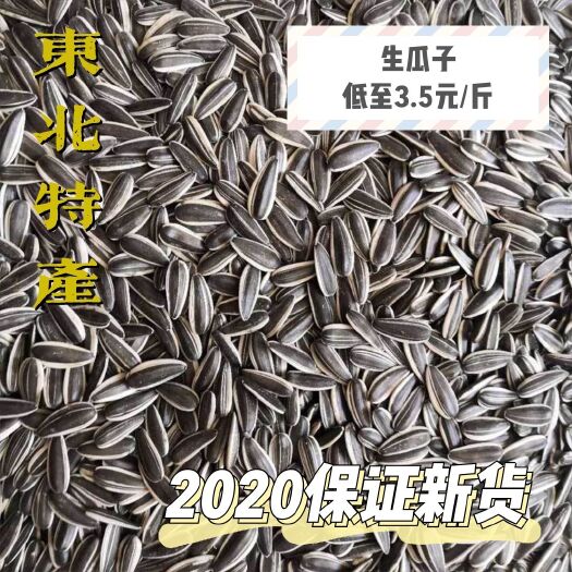 大连2020新货东北新鲜葵瓜子原味生瓜子批发优惠大粒生货葵花籽