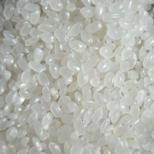 沈阳东北珍珠米