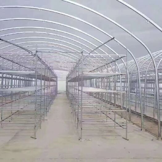 天津钢管大棚  各种种植棚，养殖棚