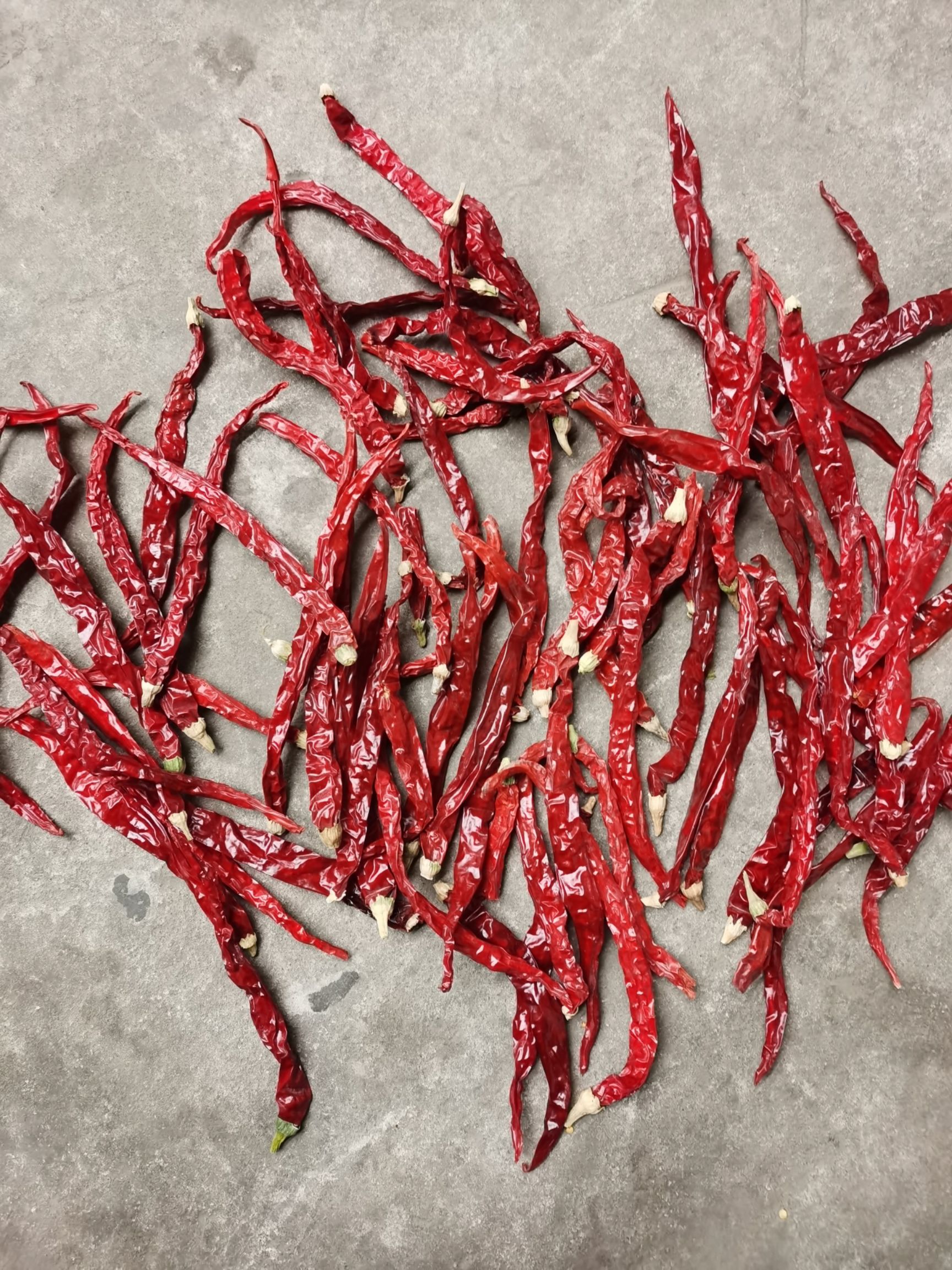 二荆条干辣椒 精品二荆条 铁板椒