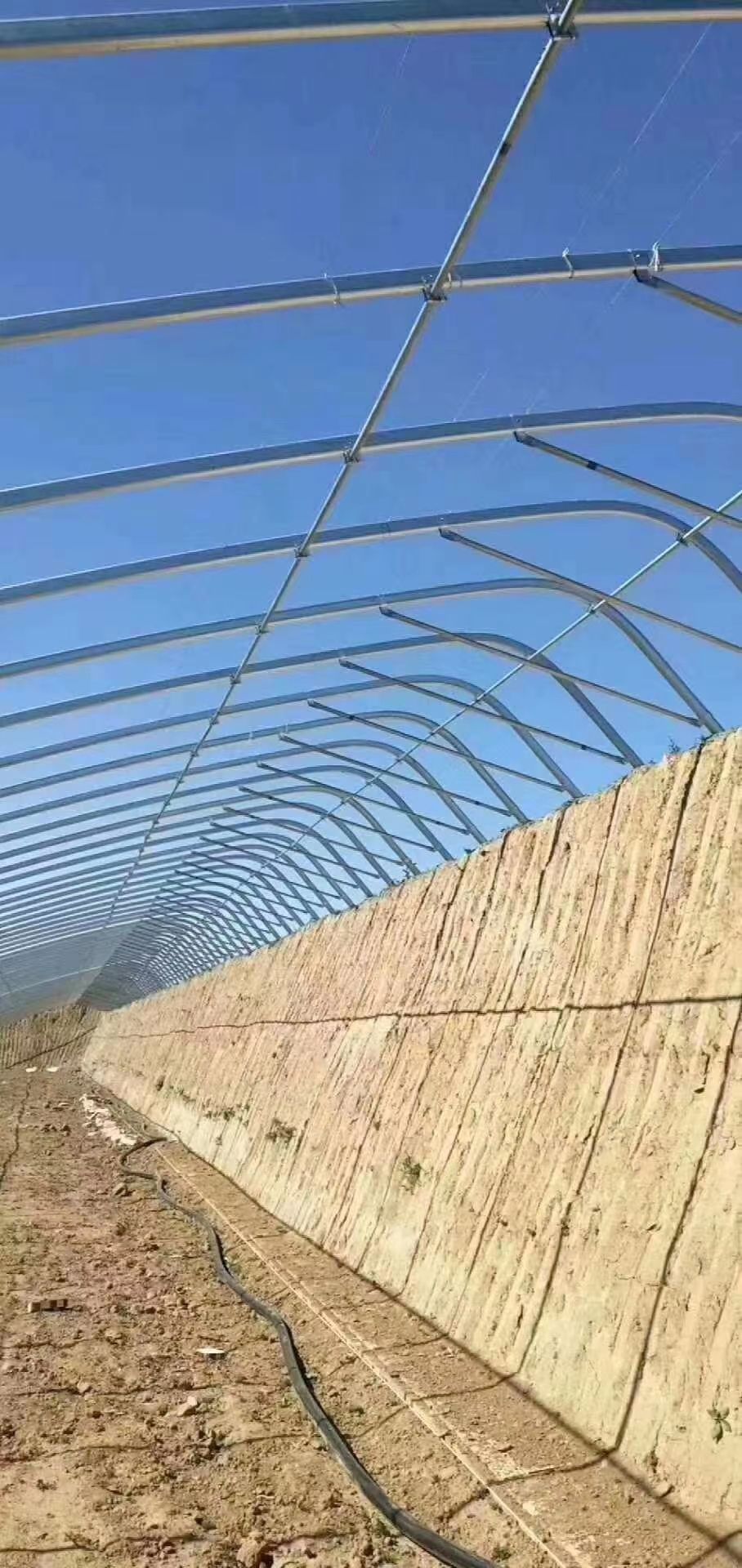 椭圆管暖棚  椭圆管种植暖棚