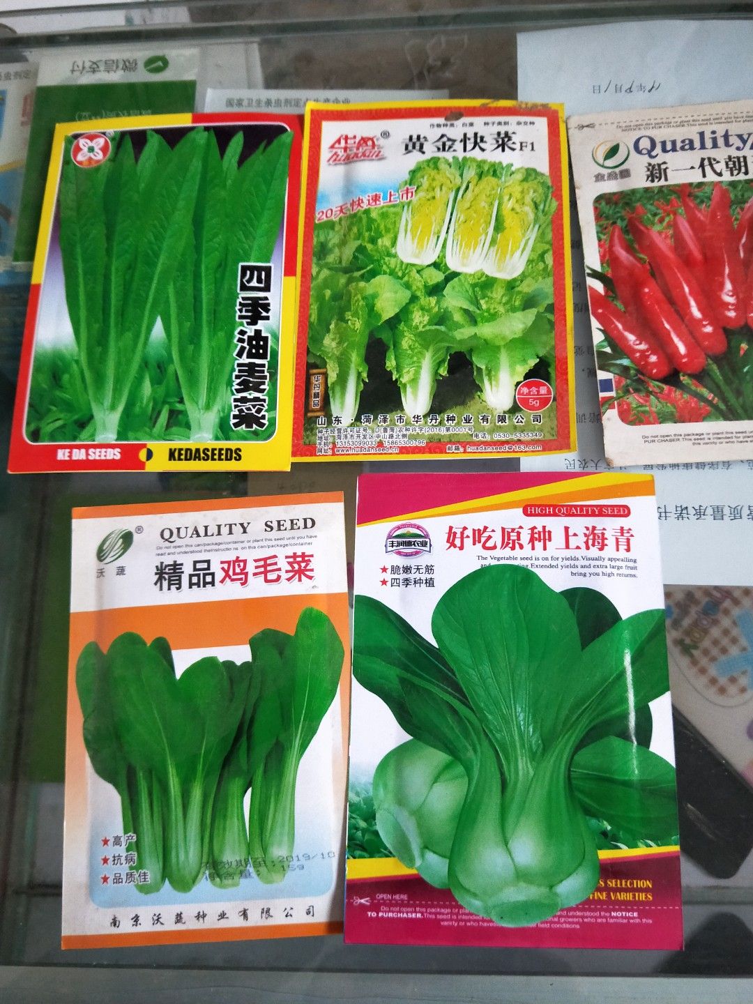  四季耐热，耐寒，生菜种子，品质脆嫩，无纤维