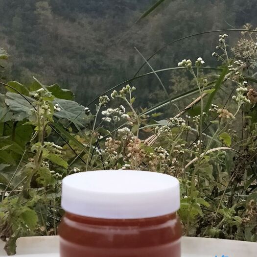 平塘县百花蜜 农村特产蜂蜜，