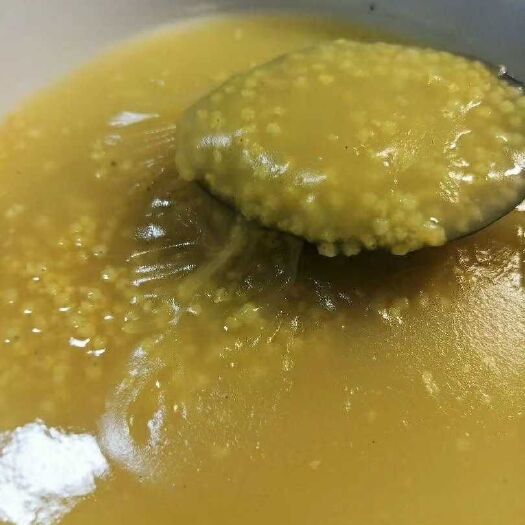 陵川县黄小米 旱地小米，精装，散装！