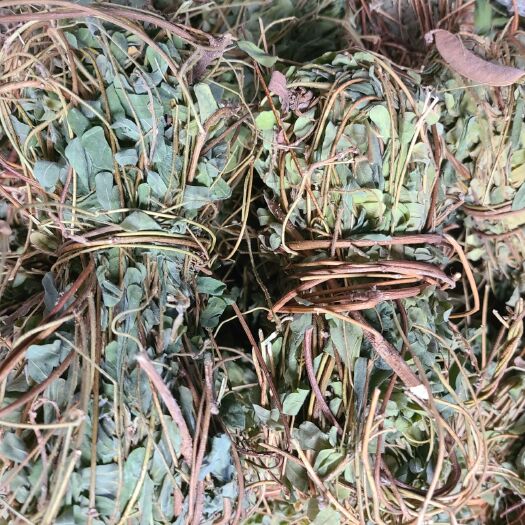 广州鸡骨草 新货有叶鸡骨草 无硫干度好