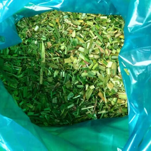 陇川县青储草  甘蔗尾青储，富含各种糖份和氨基酸是您育肥繁殖的好帮手！