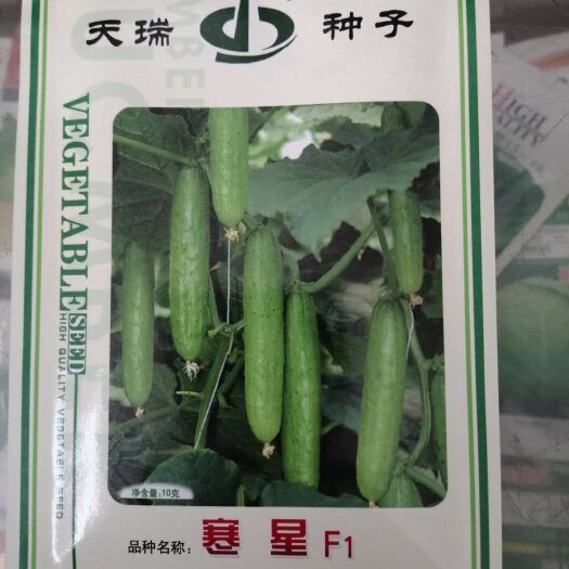 绥化黄瓜种子 杂交种 ≥99.9% ≥97% ≤3% 袋装 