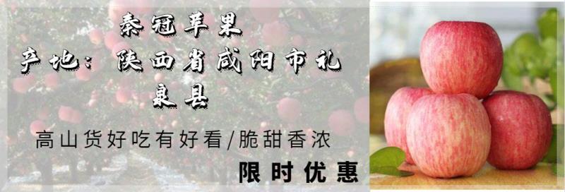 礼泉县秦冠苹果  礼泉高山光果泰冠，好吃好看口感翠甜，价位合理质量很好。