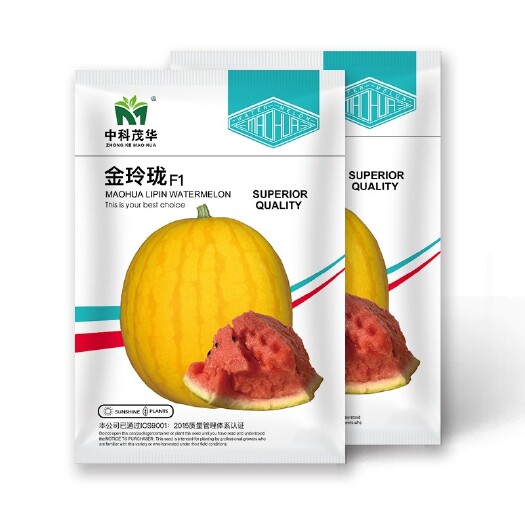 夏邑县金玲珑西瓜种子，含糖12.4，单瓜重三四公斤，