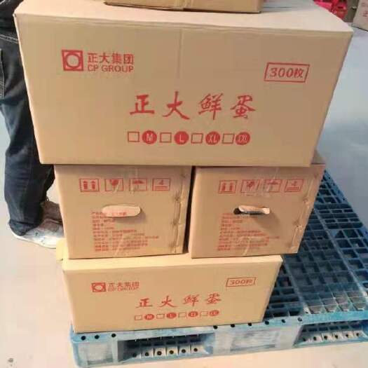 青岛红皮鸡蛋 食用 箱装 