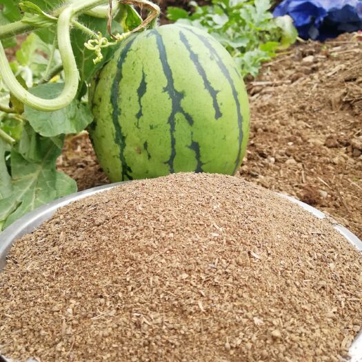 黄平县 生物有机肥之王～蚯蚓粪，无臭无味