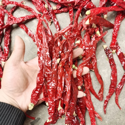 襄汾县二荆条干辣椒  精品二荆条 铁板椒