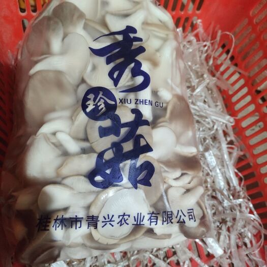 灵川县秀珍菇 