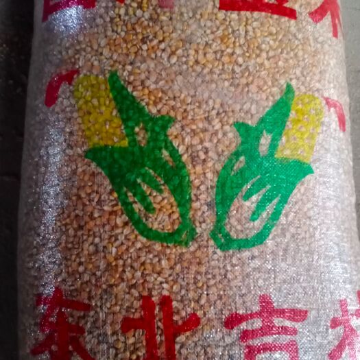 襄樊干玉米  玉米小麦面粉麸皮花生米