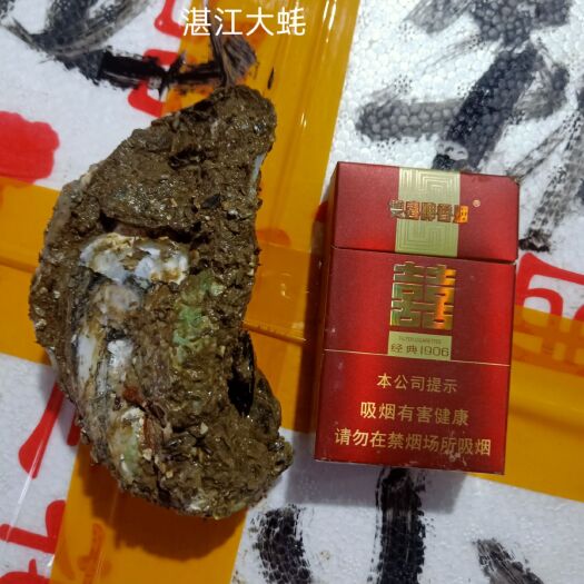 湛江生蚝 湛江大蚝