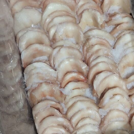 长沙猪金钱 金钱