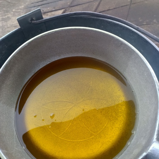 德昌县白花山茶油 德昌茶籽 阳光充足 自然成熟落地籽 品质保证