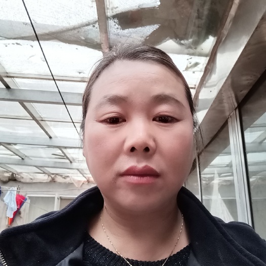 沂南县黄瓜种苗 鲜黄瓜