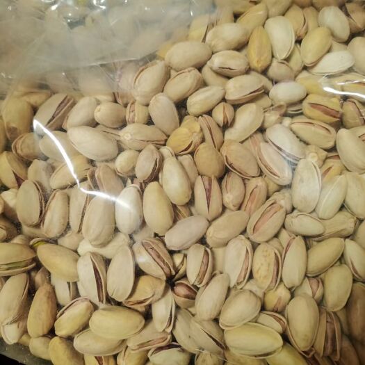 开心果 6-12个月 