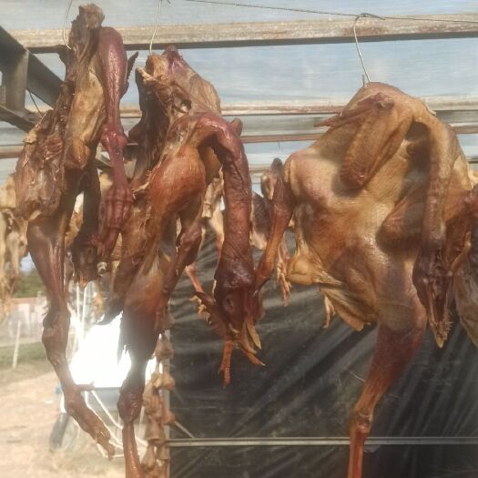 如东县白条鸡  风干咸香鸡批发零售包邮