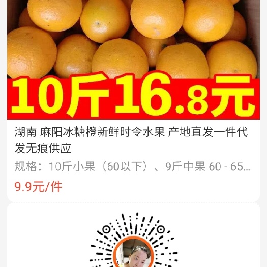 池州麻阳冰糖橙 一级果 