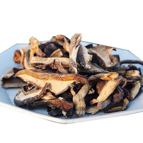 昆明黑牛肝菌 野生黑牛肝