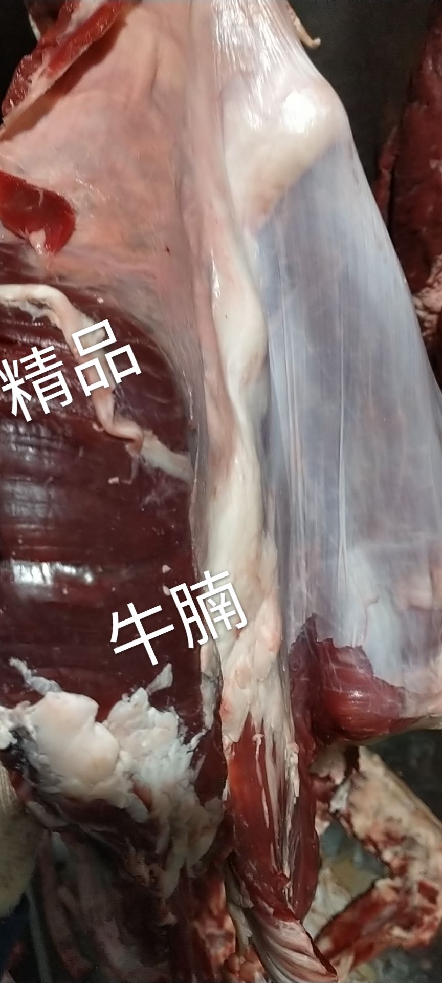 宁夏回族自治区，自养直销精品黄牛牛腱子肉，纯干新鲜无注水