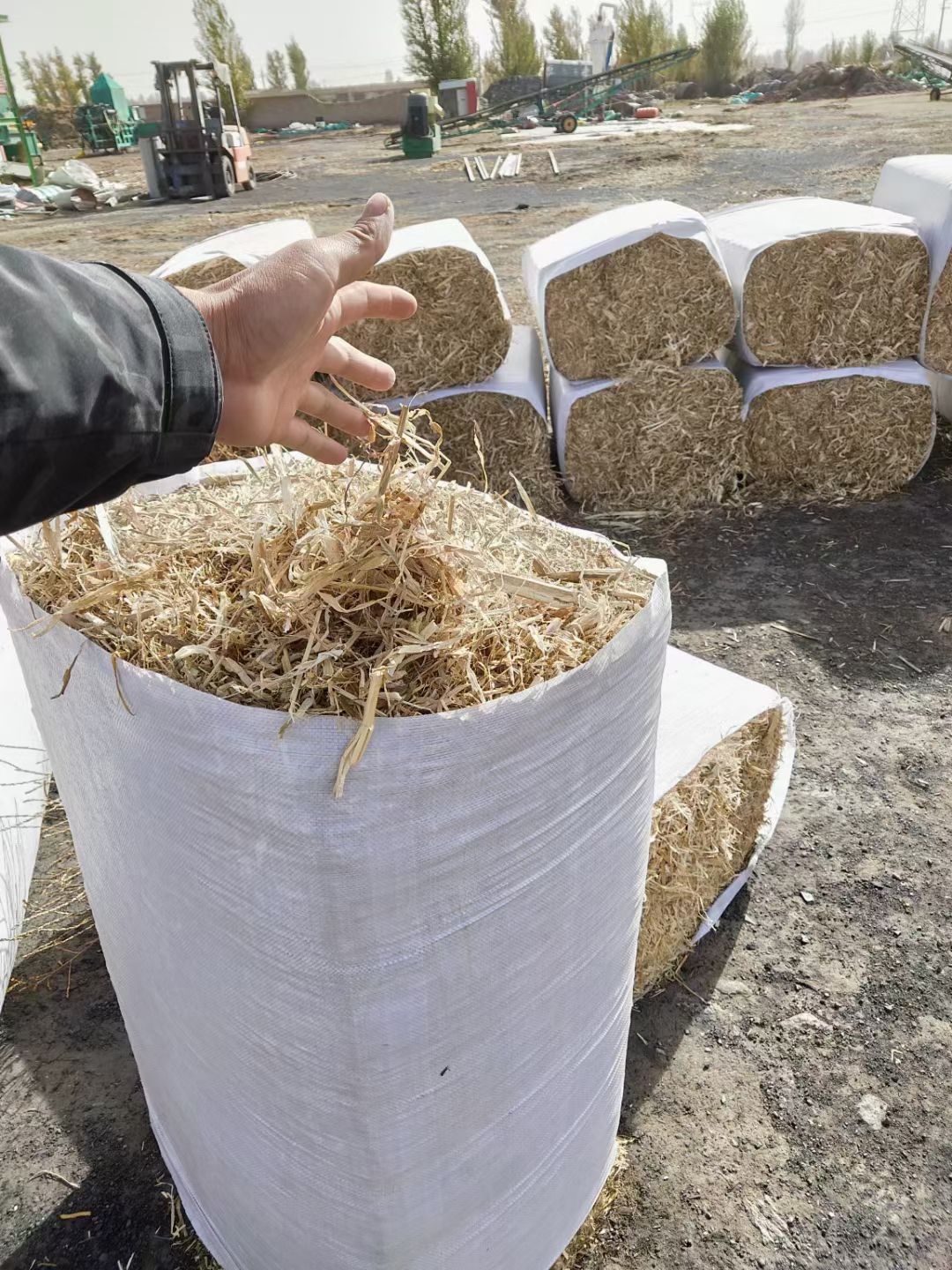 优质草球,一等玉米秸秆,色正,无杂质,无霉变.长年供货.