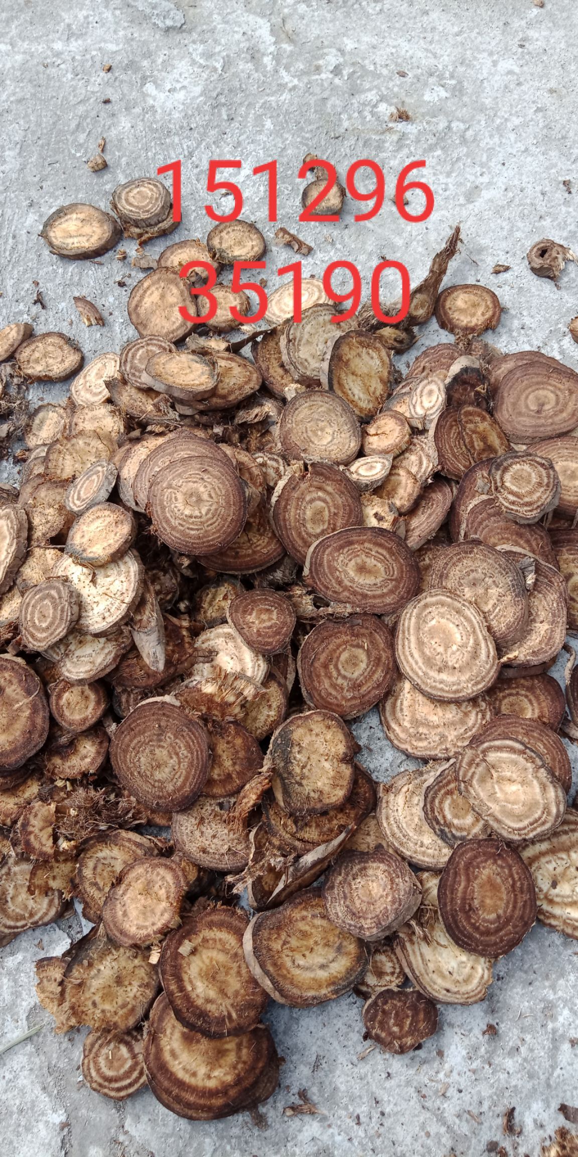 干葛根  柴葛根