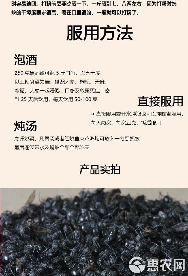 黑蚂蚁 拟黑多刺蚁 蚂蚁干 泡酒 广西广东产地散货批发