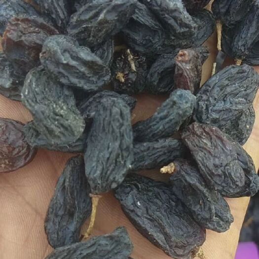 金塔县黑加仑葡萄干 黑加仑