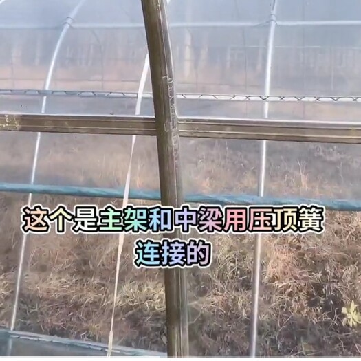 天津镀锌带种植大棚 1寸圆管种植棚