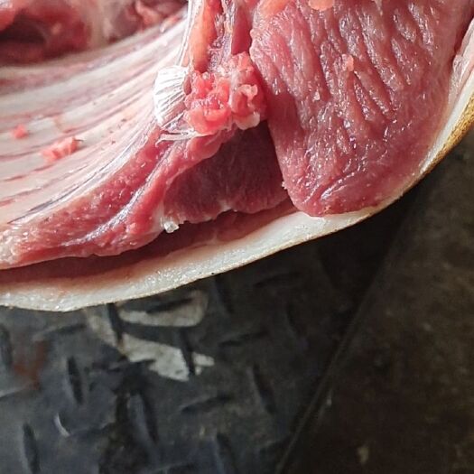 桂林香猪肉  现杀山猪。低脂肪