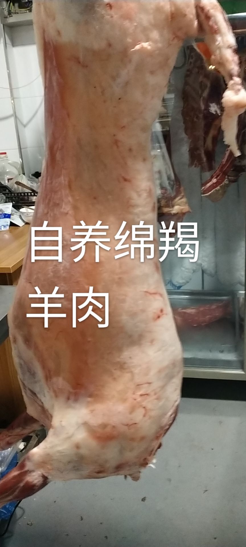 盐池滩羊  滩羊肉