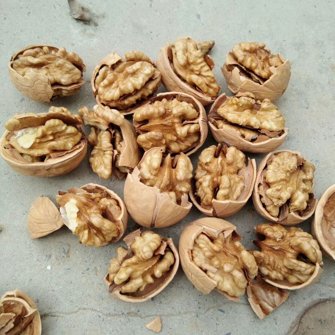 纸皮核桃  纸皮礼品核桃手捏即开口感香脆