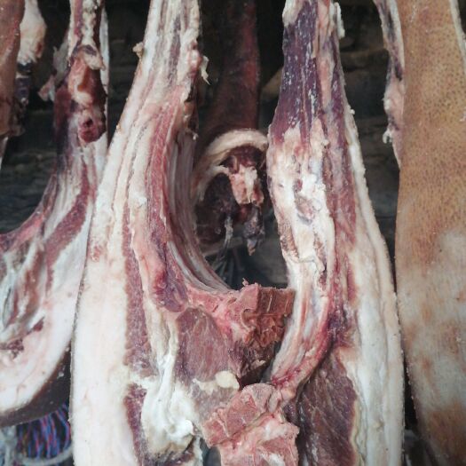小金县藏香猪肉 肉品值好