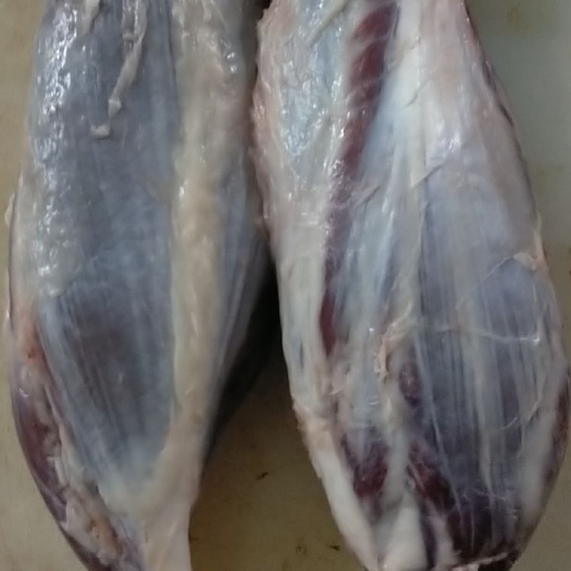 银川牛肉类  纯干新鲜黄牛肉