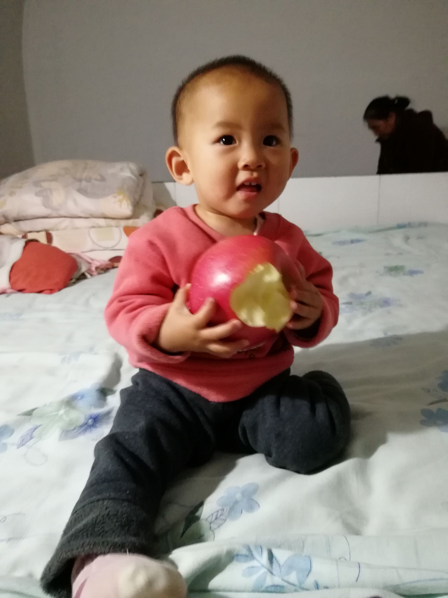  陕北黄土高坡山地红富士苹果