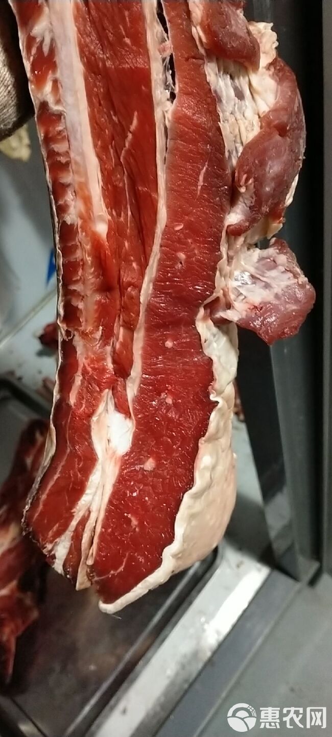 宁夏回族自治区，自养直销精品黄牛牛腱子肉，纯干新鲜无注水