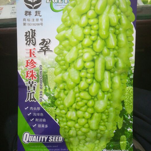 苦瓜种子  玉珍珠苦瓜