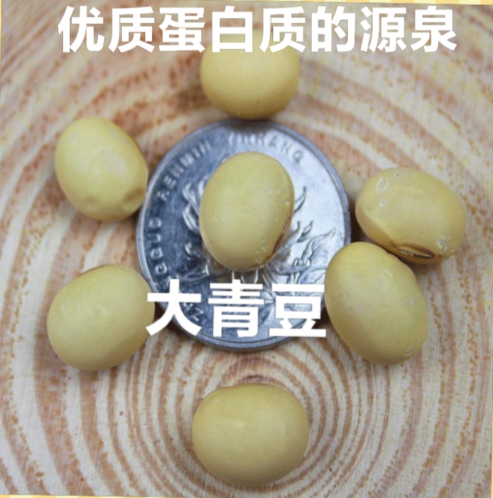 干青豆  大青豆可吃营养大青豆五谷杂粮大青豆农家大青豆5斤装