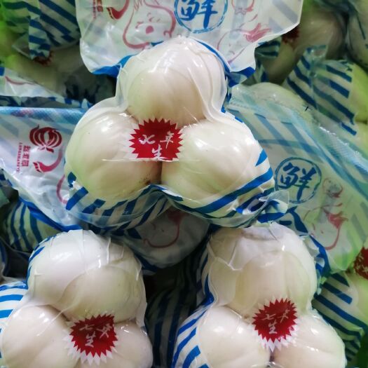临洮县陇尚御鲜百合  七年生  三头皇