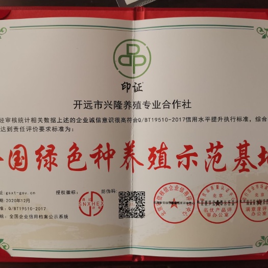 开远市土鸡蛋  常年供应林下放养高品质绿壳鸡蛋，