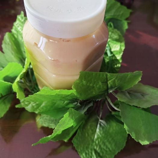 临漳县荔枝蜜