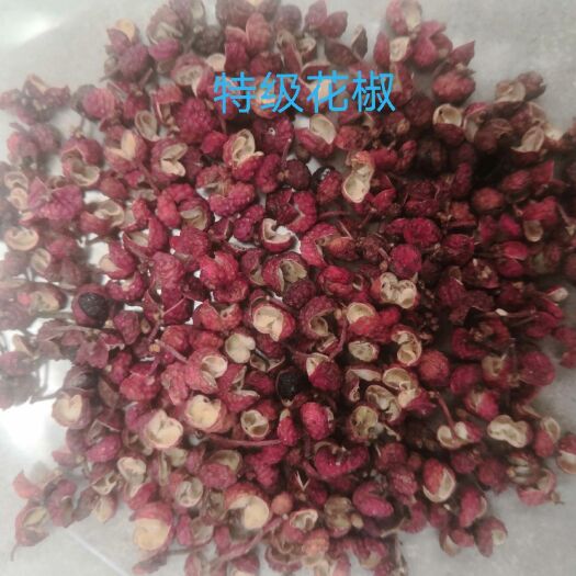 涉县红花椒 非常好的  旱地花椒